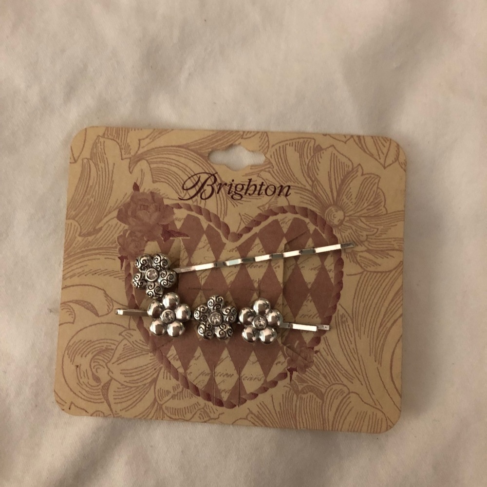 Brighton Bobby pins
